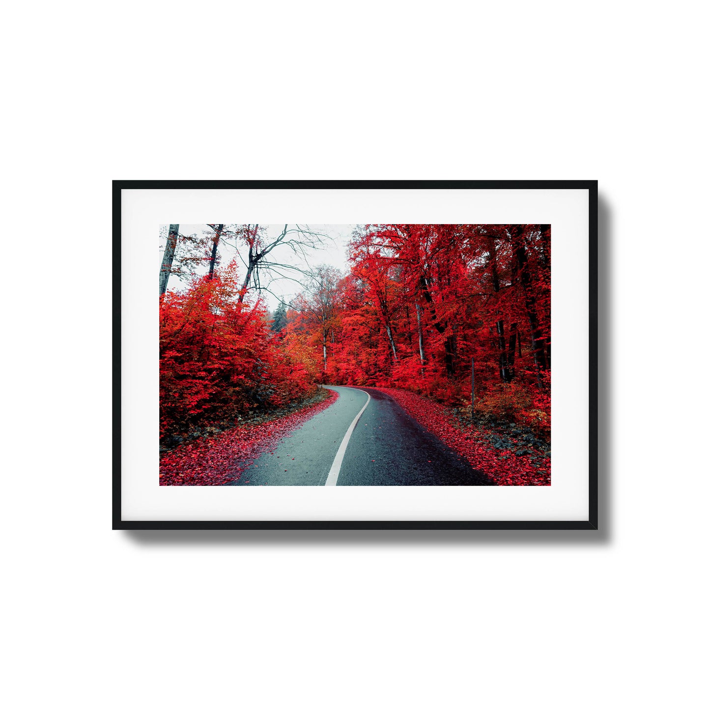 A winding road surrounded by vibrant red autumn trees, a bold choice for framed wall art.