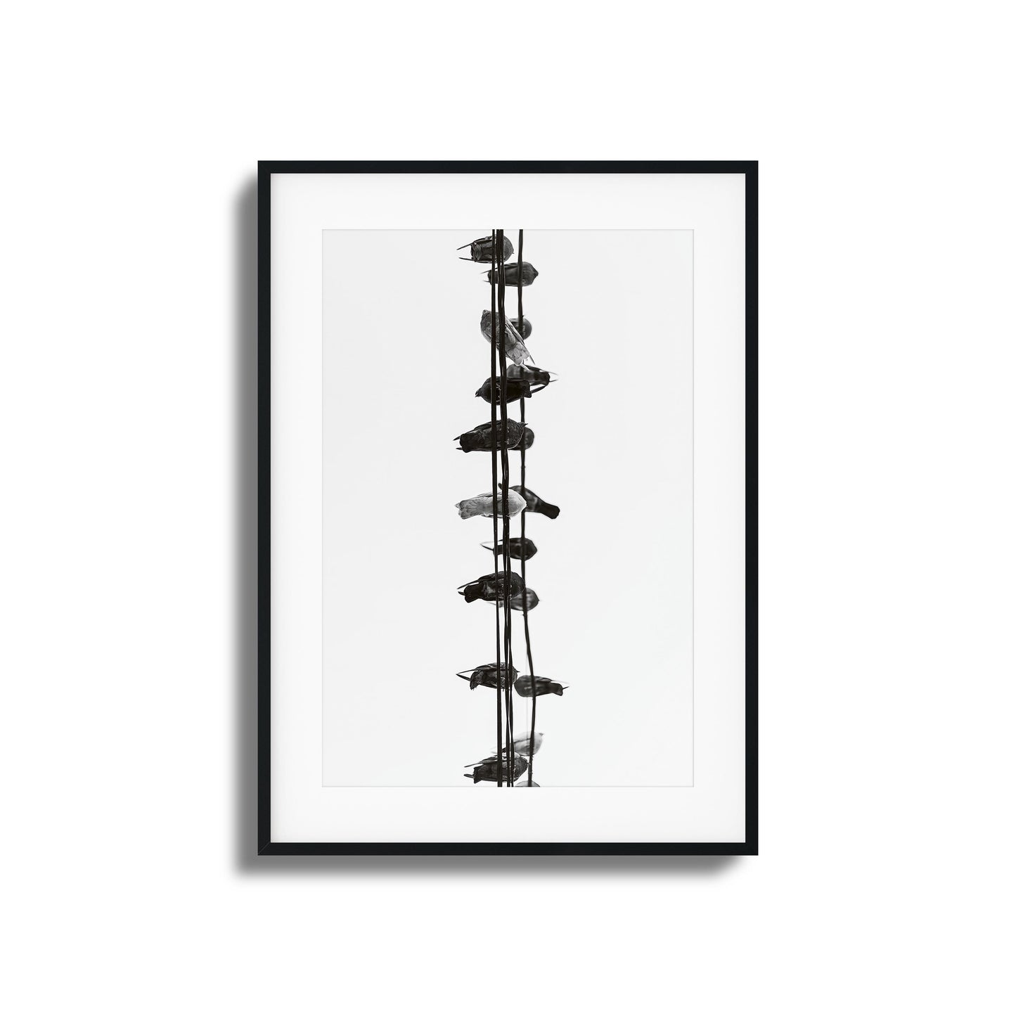 Birds on Wires Framed Art