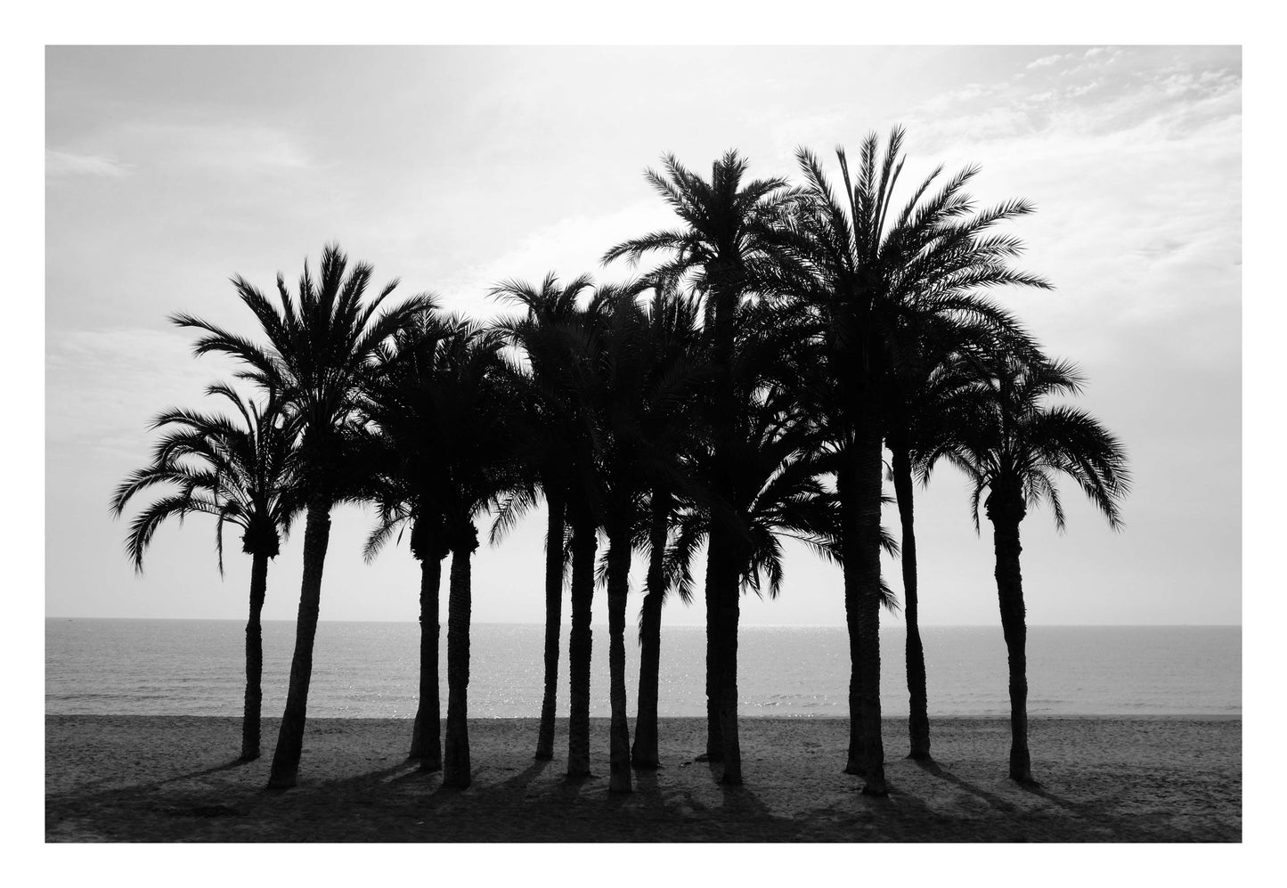 Black Palm Silhouettes Framed Art