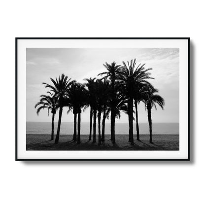 Black Palm Silhouettes Framed Art - Assure Spark