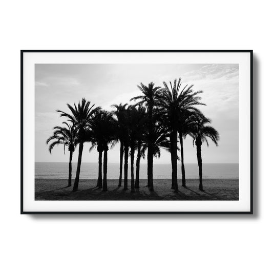 Black Palm Silhouettes Framed Art