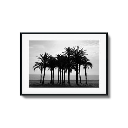 Black Palm Silhouettes Framed Art