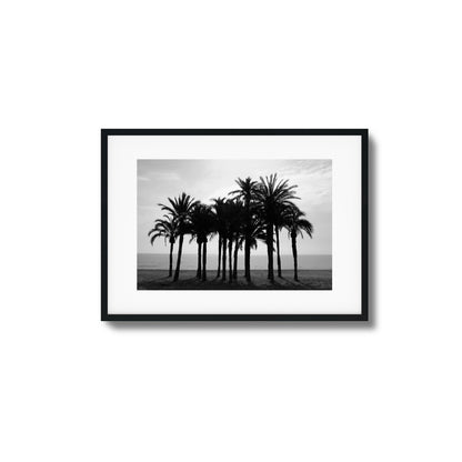 Black Palm Silhouettes Framed Art