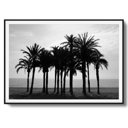 Black Palm Silhouettes Framed Art