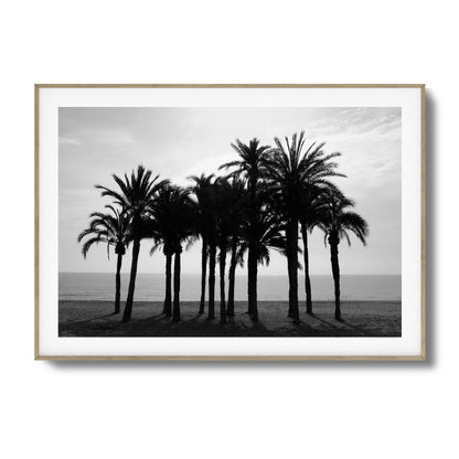 Black Palm Silhouettes Framed Art