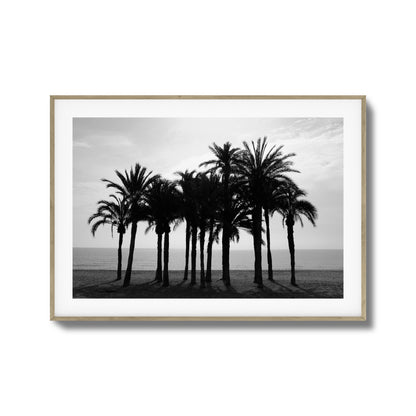 Black Palm Silhouettes Framed Art