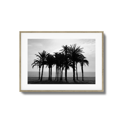 Black Palm Silhouettes Framed Art