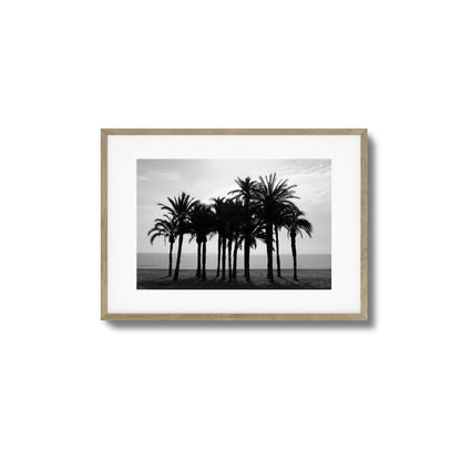 Black Palm Silhouettes Framed Art