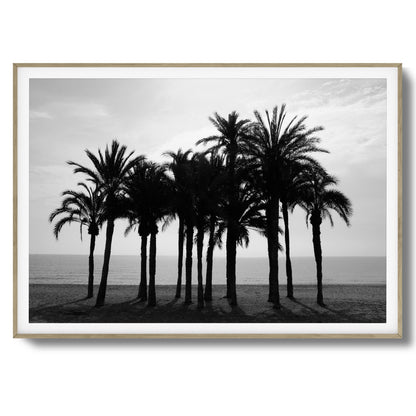 Black Palm Silhouettes Framed Art
