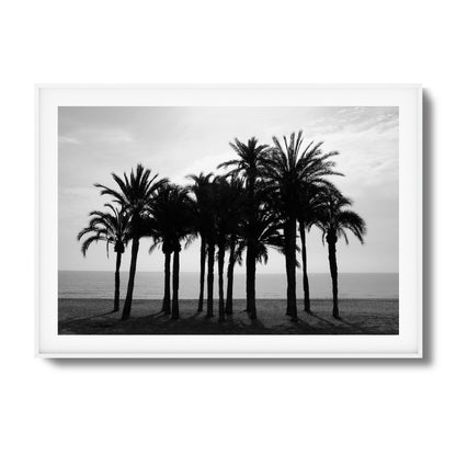 Black Palm Silhouettes Framed Art