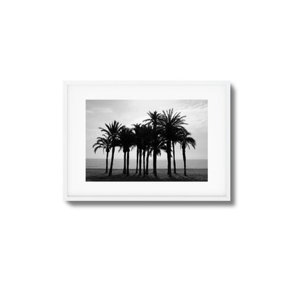 Black Palm Silhouettes Framed Art