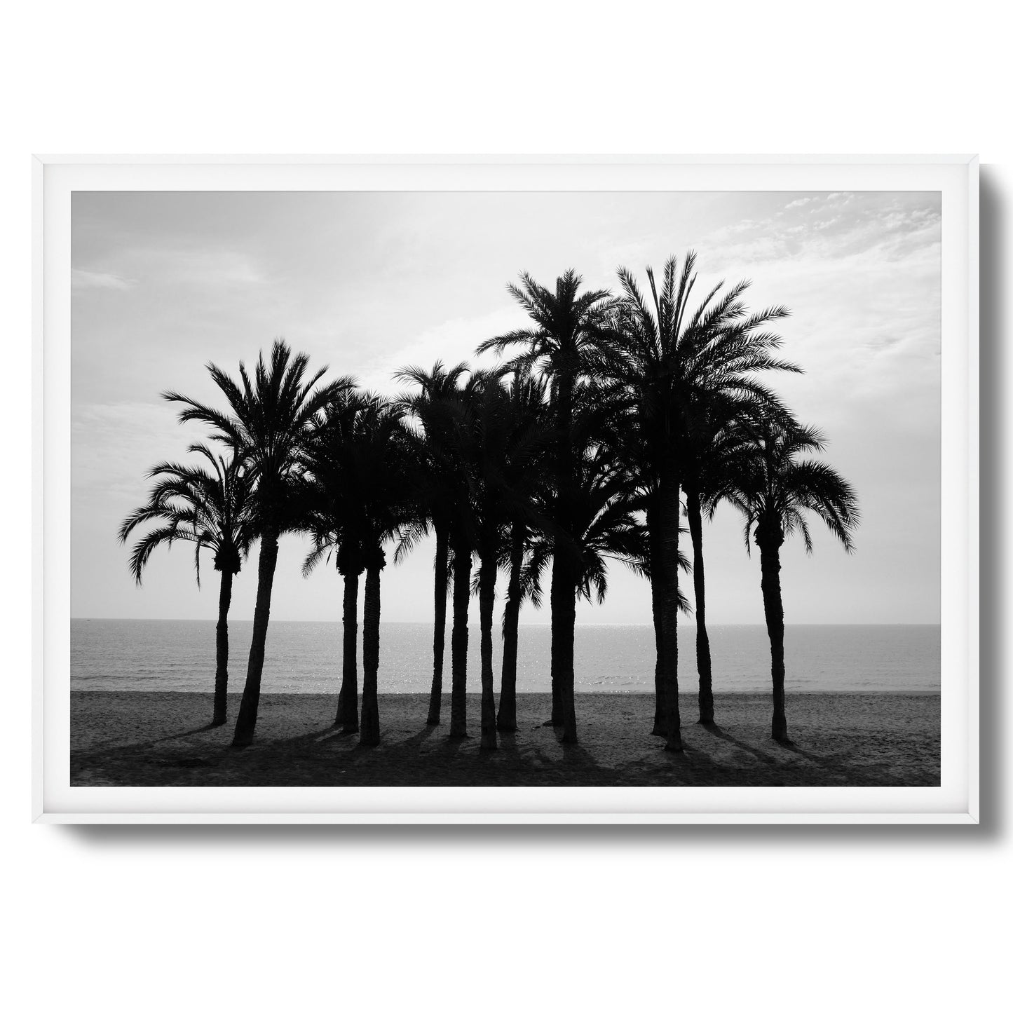 Black Palm Silhouettes Framed Art