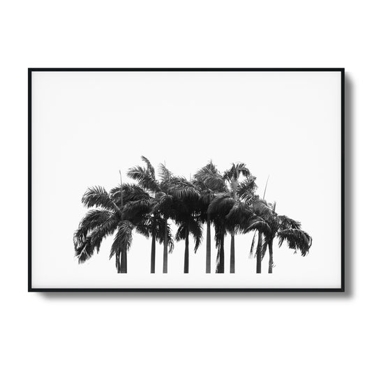 Black & White Palm Cluster Framed Art