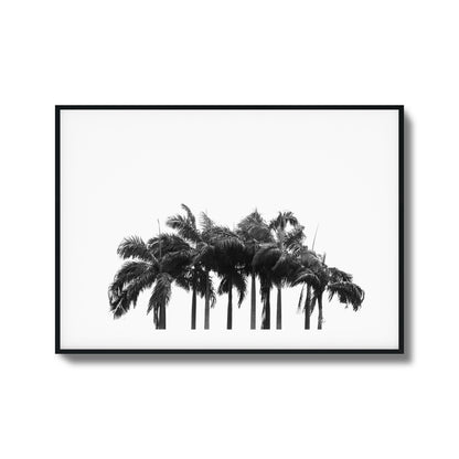 Black & White Palm Cluster Framed Art