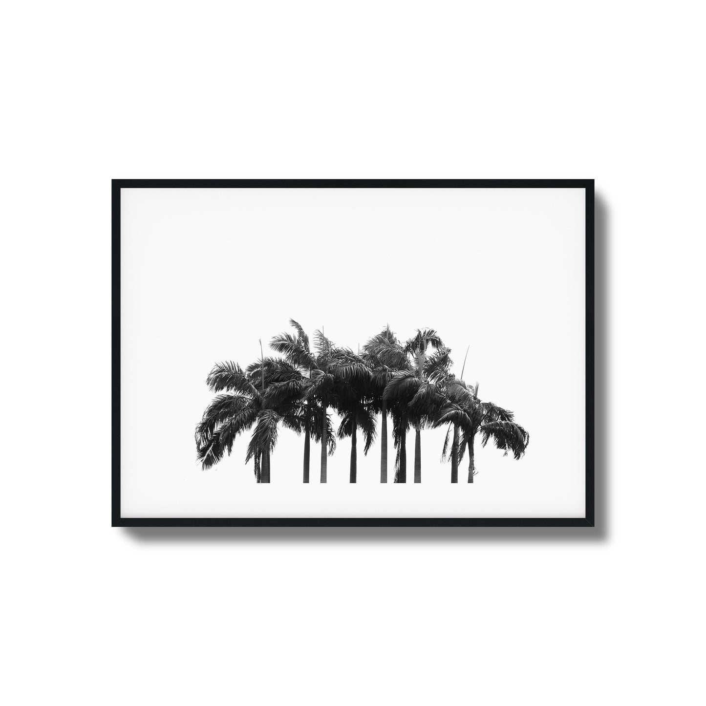 Black & White Palm Cluster Framed Art