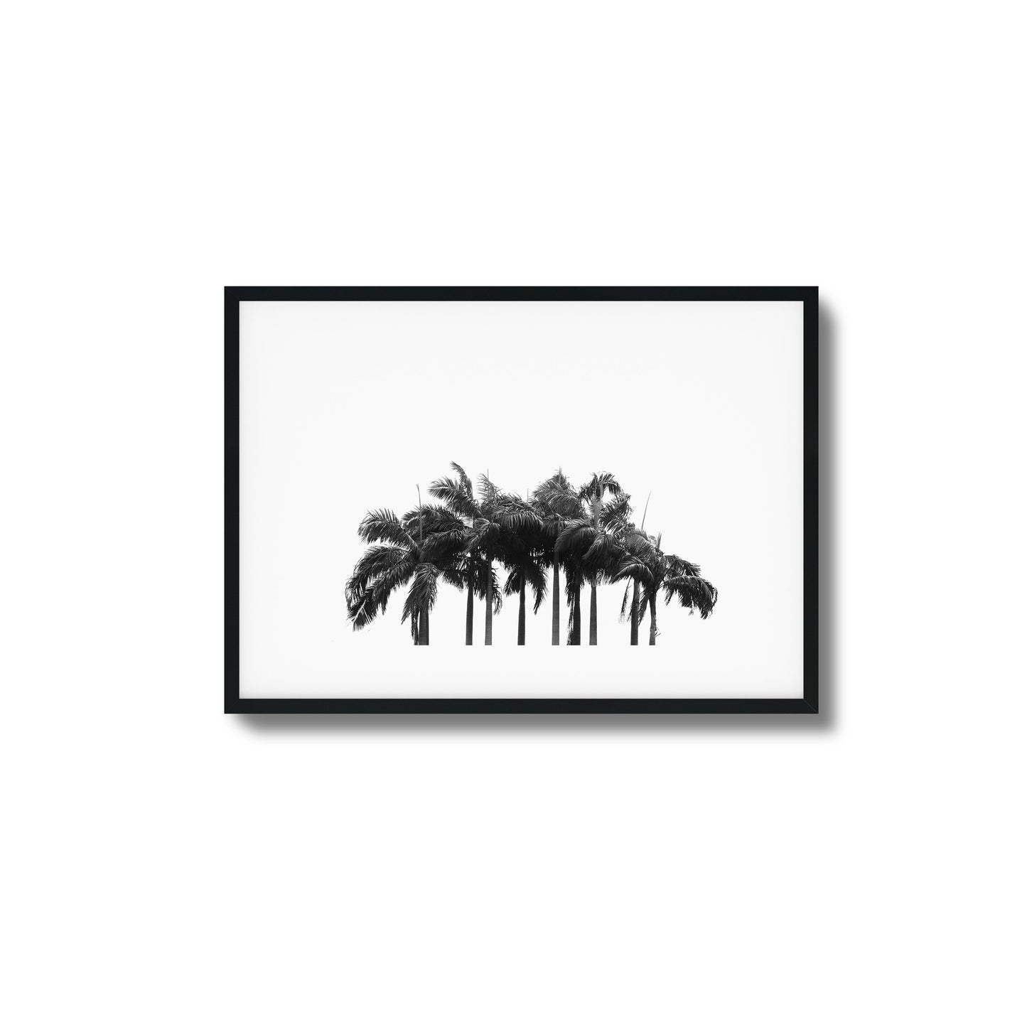 Black & White Palm Cluster Framed Art