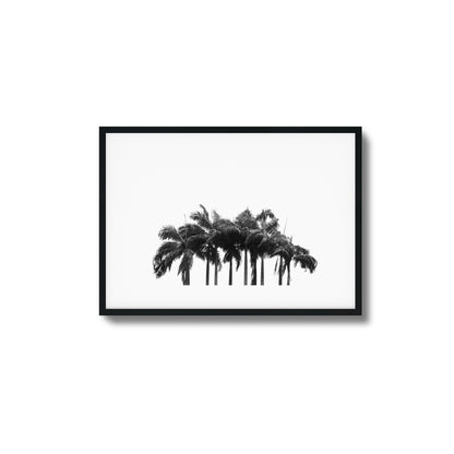 Black & White Palm Cluster Framed Art