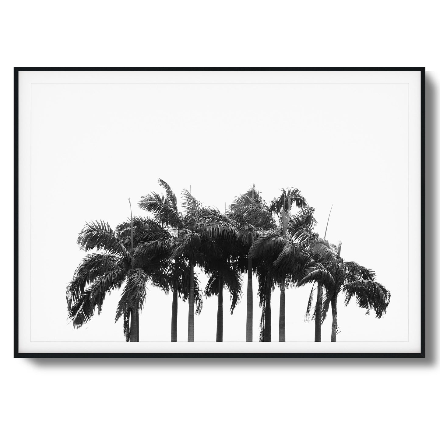 Black & White Palm Cluster Framed Art