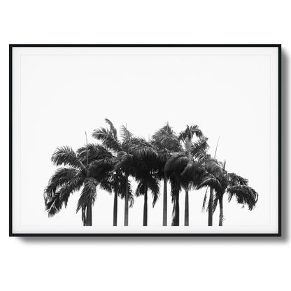 Black & White Palm Cluster Framed Art