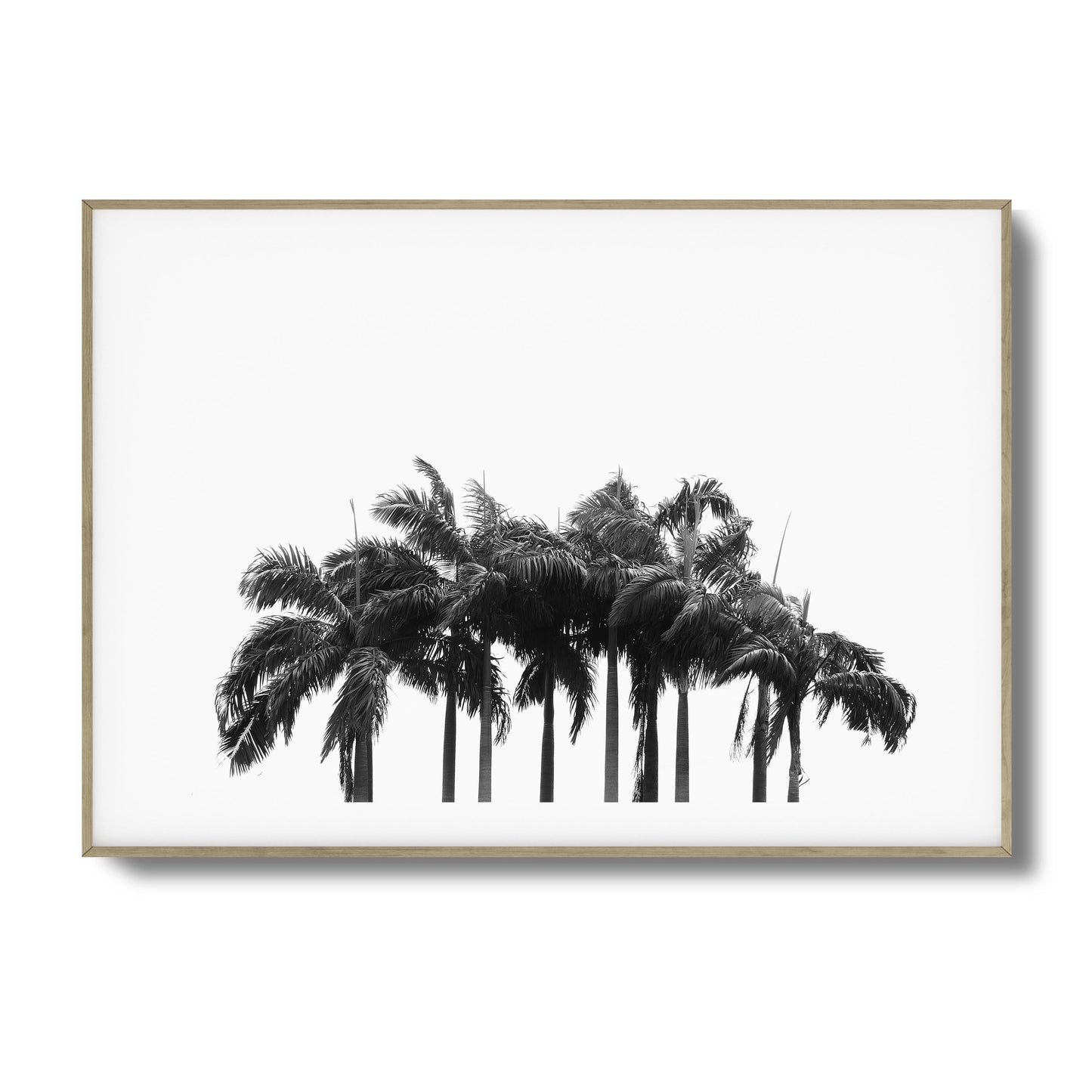 Black & White Palm Cluster Framed Art