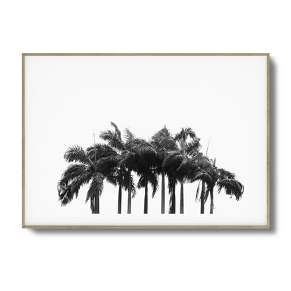 Black & White Palm Cluster Framed Art