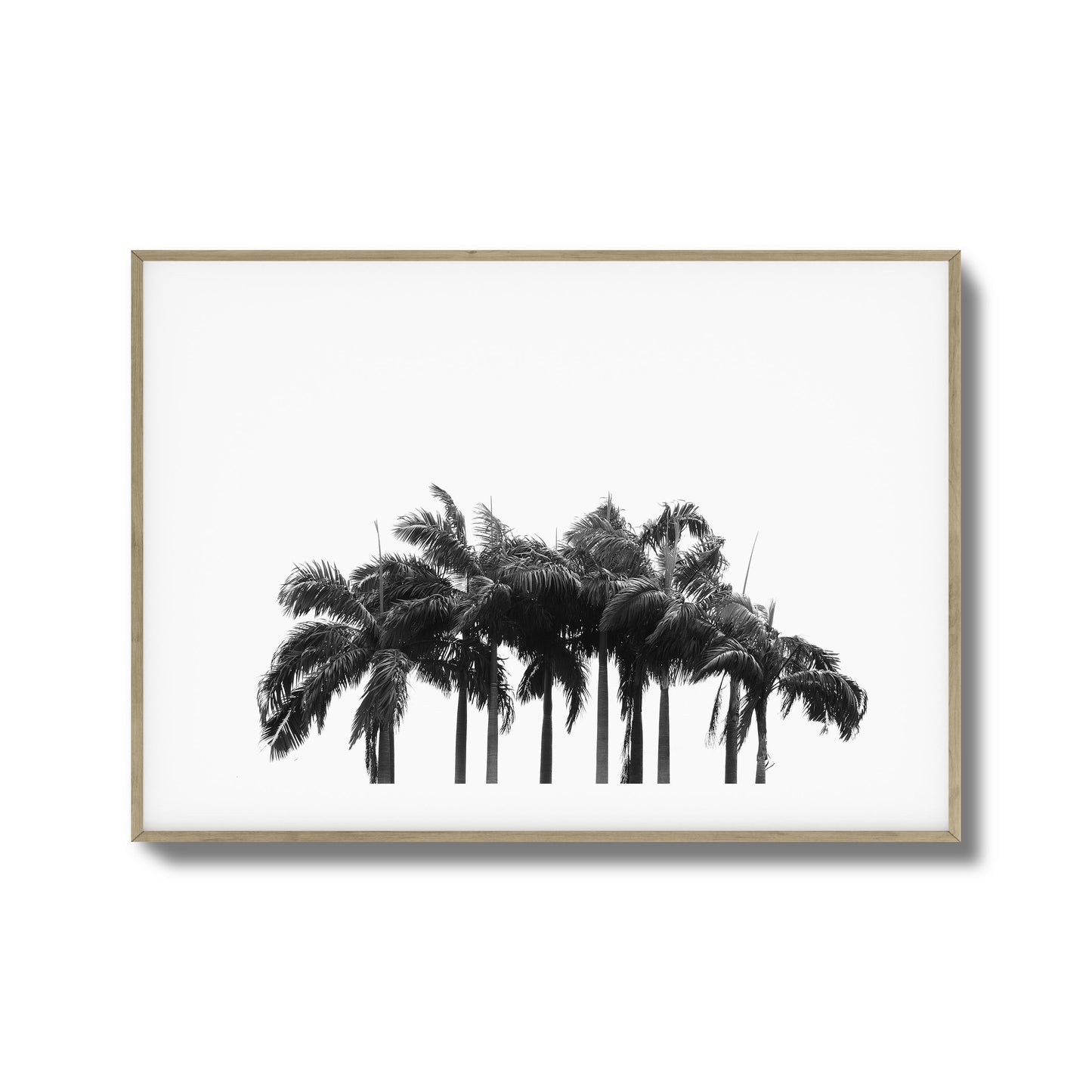 Black & White Palm Cluster Framed Art