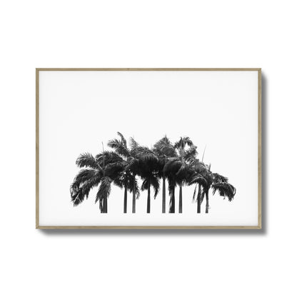 Black & White Palm Cluster Framed Art