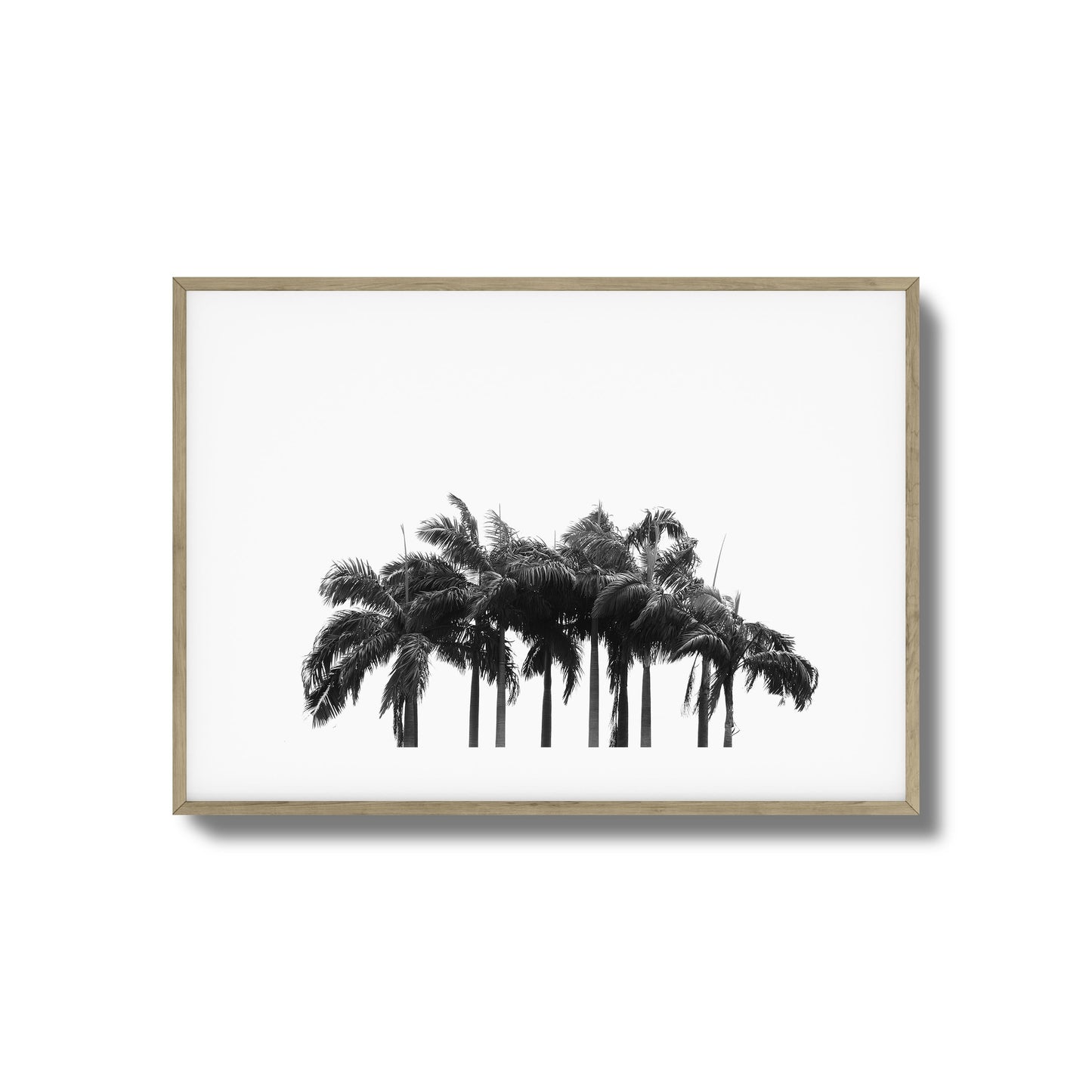 Black & White Palm Cluster Framed Art