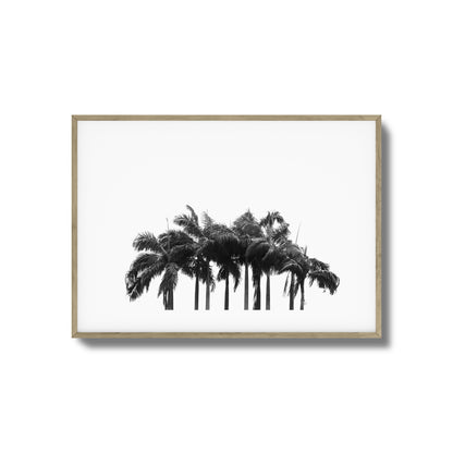 Black & White Palm Cluster Framed Art