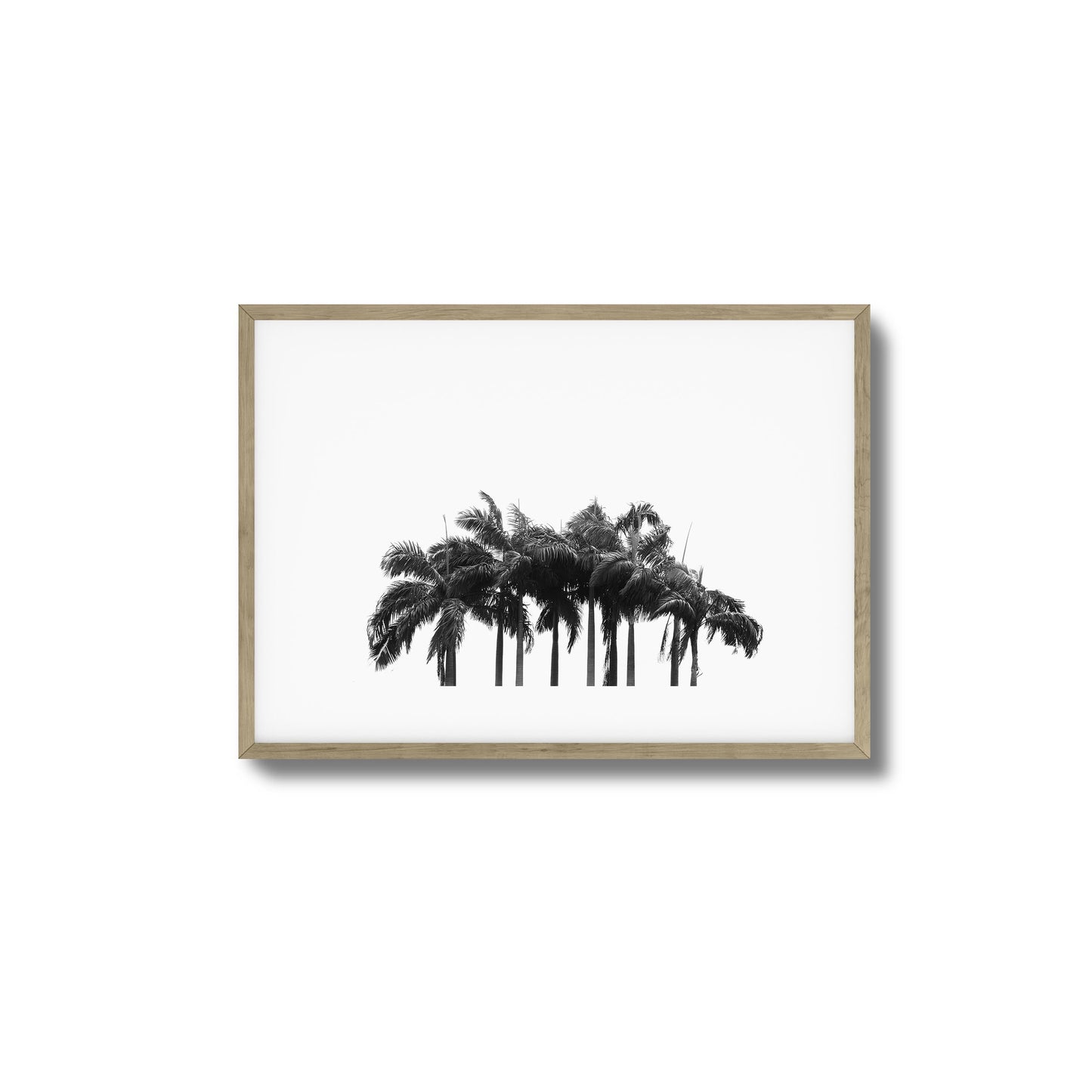 Black & White Palm Cluster Framed Art