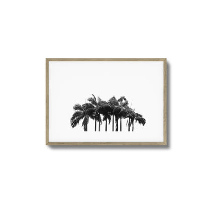 Black & White Palm Cluster Framed Art