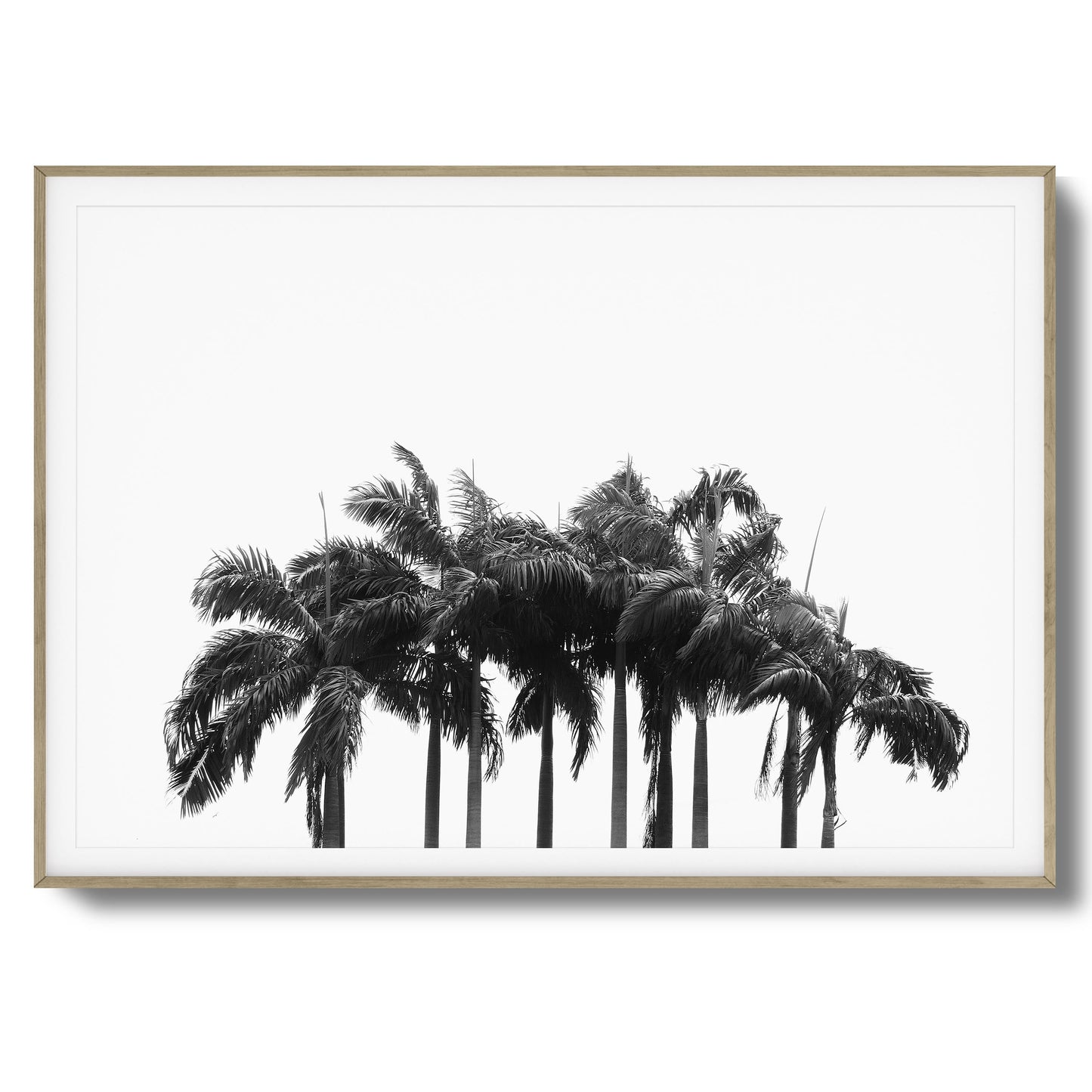 Black & White Palm Cluster Framed Art