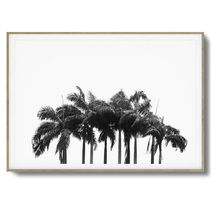 Black & White Palm Cluster Framed Art