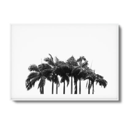 Black & White Palm Cluster Framed Art