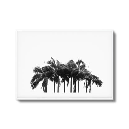 Black & White Palm Cluster Framed Art