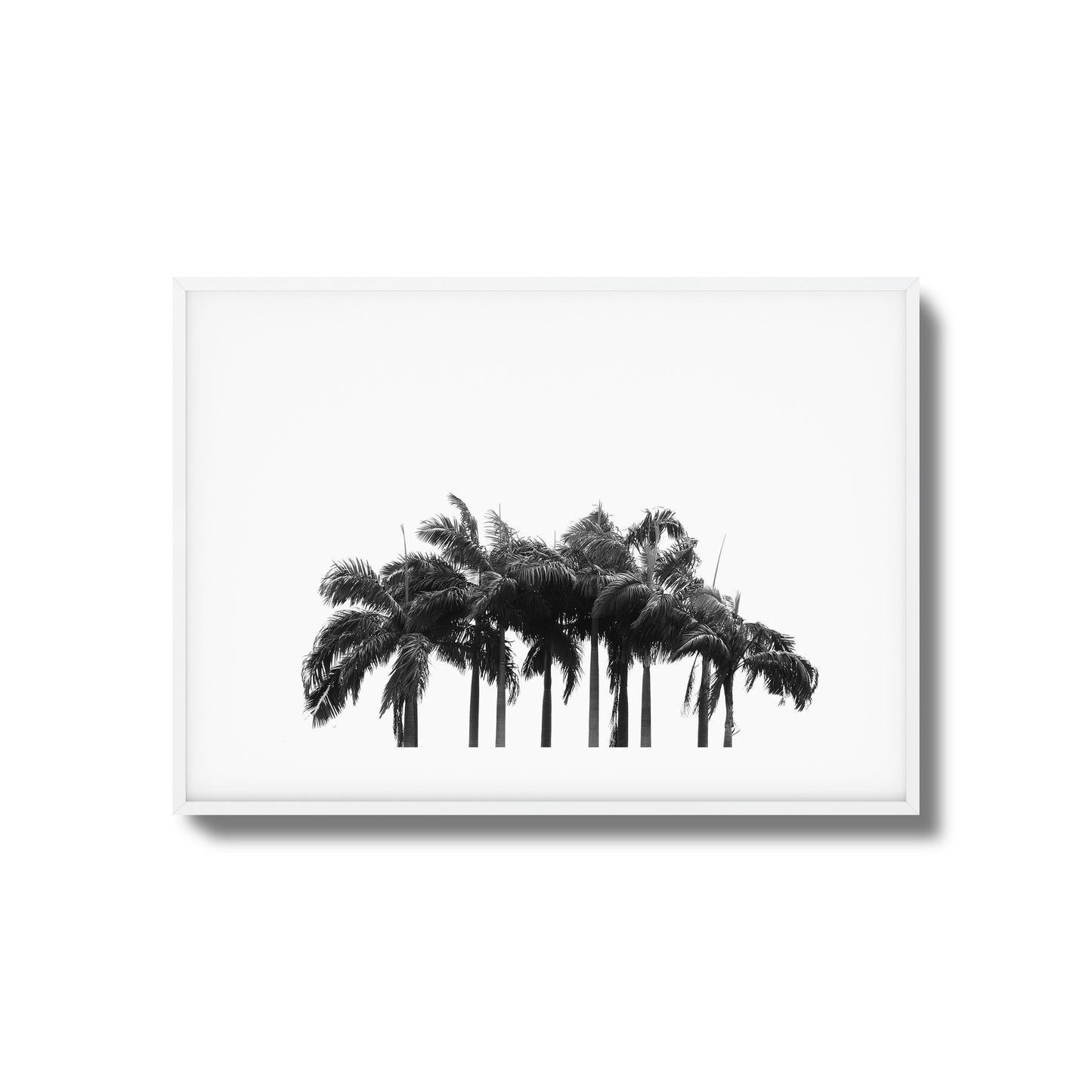 Black & White Palm Cluster Framed Art