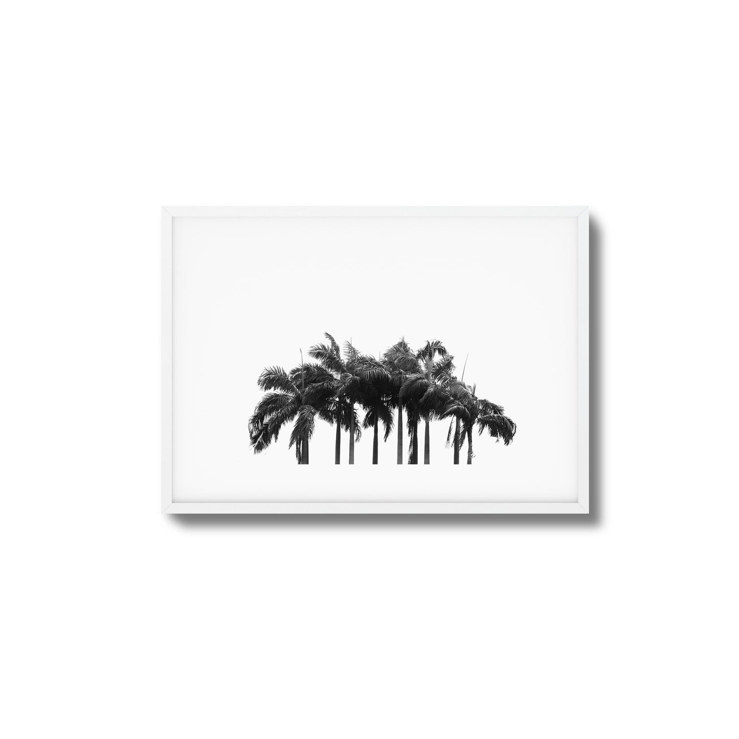 Black & White Palm Cluster Framed Art