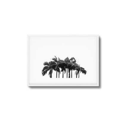 Black & White Palm Cluster Framed Art