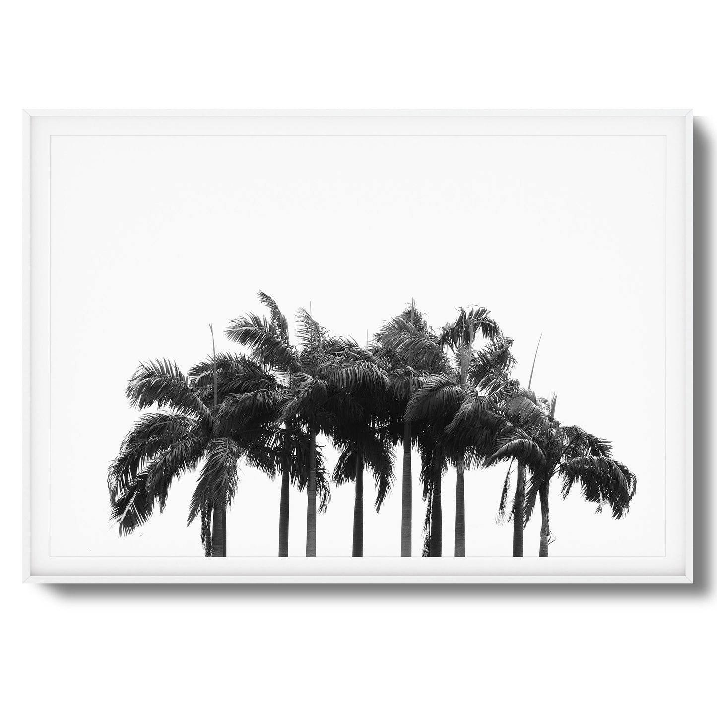 Black & White Palm Cluster Framed Art