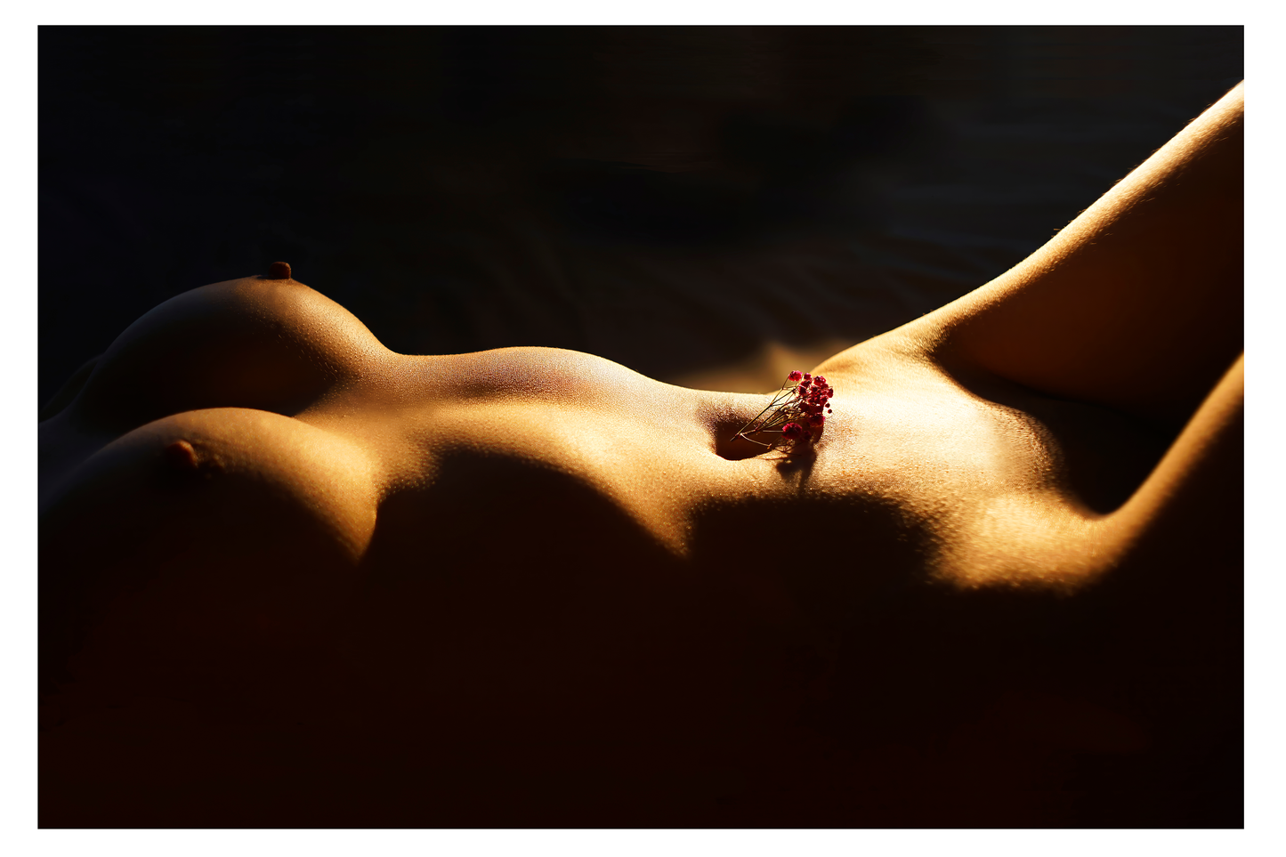 Blossom of Desire Framed Art