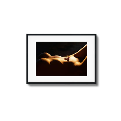 Blossom of Desire Framed Art