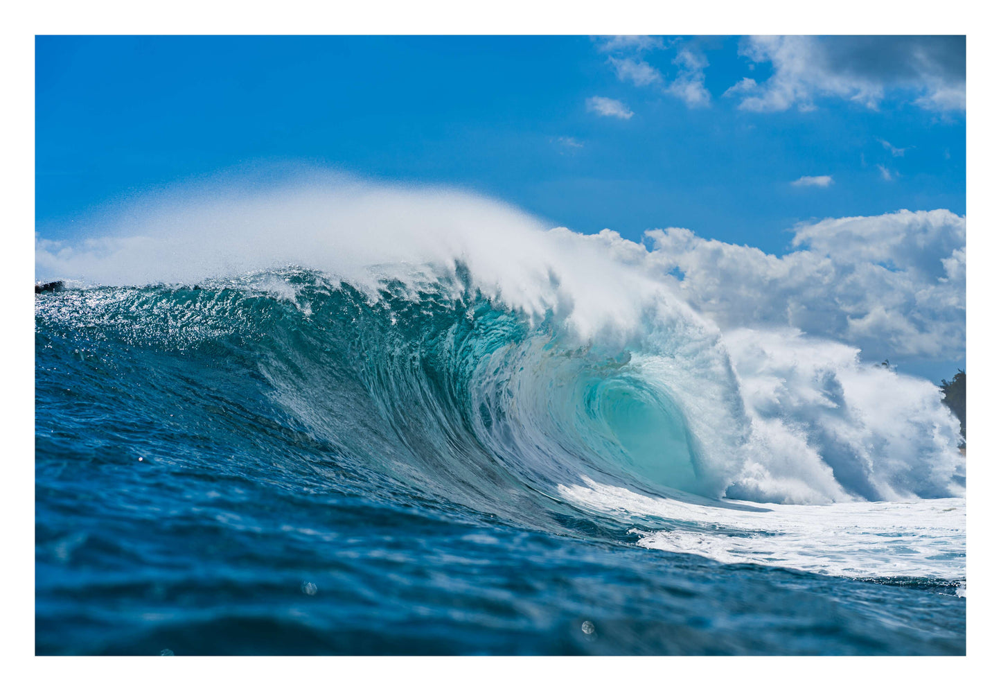 Blue Beast Framed Art