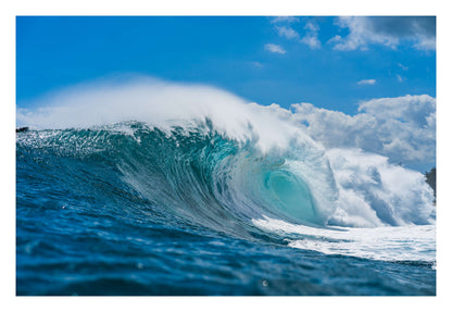 Blue Beast Framed Art