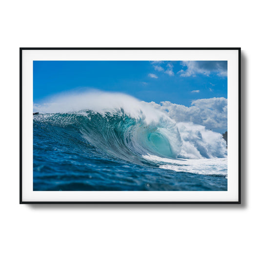Blue Beast Framed Art