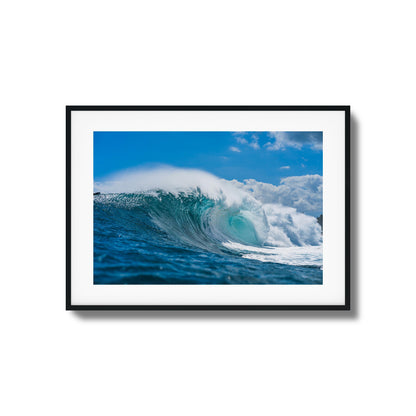 Blue Beast Framed Art