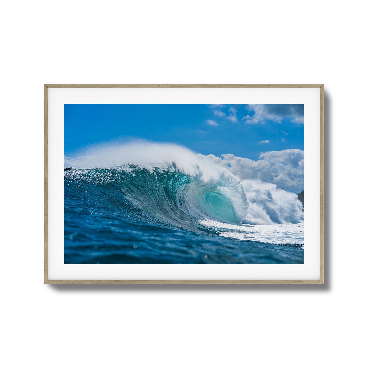 Blue Beast Framed Art