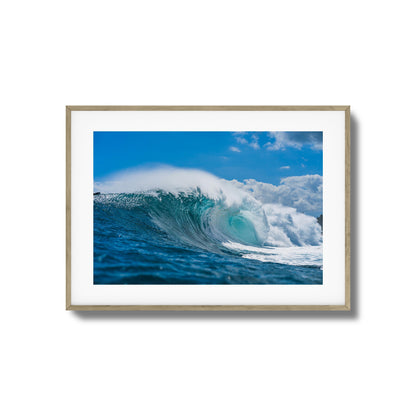 Blue Beast Framed Art