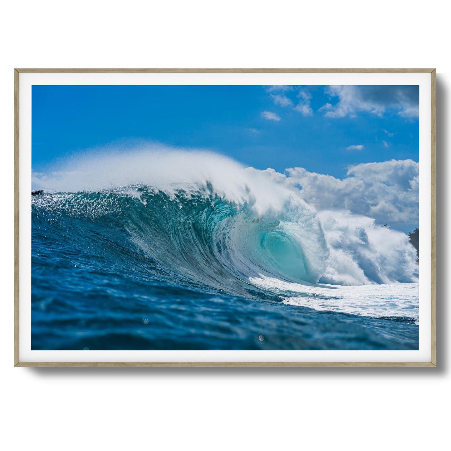 Blue Beast Framed Art