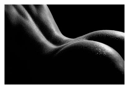 Bold Female Curves in Shadow Framed Art