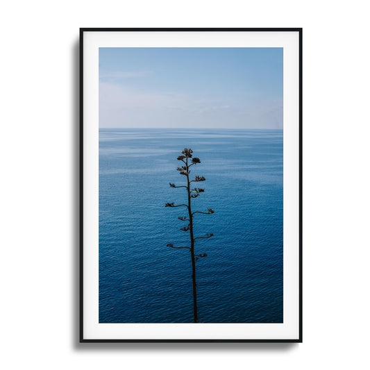 Bold Bloom Against Blue Framed Art